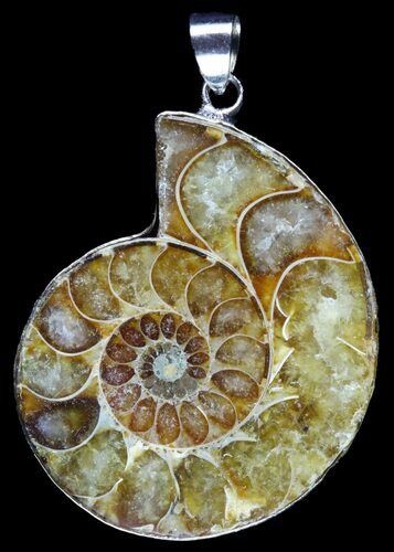 Fossil Ammonite Pendant - Million Years Old #89881